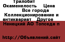 Трилобит Asaphus. Окаменелость. › Цена ­ 300 - Все города Коллекционирование и антиквариат » Другое   . Ненецкий АО,Топседа п.